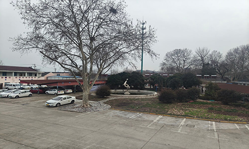 南京石佛驾校.jpg 南京石佛驾校.jpg